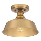 Meridian - 1-Light Ceiling Light - Lights Canada