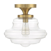1-Light Ceiling Light
