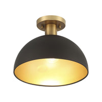 1-Light Ceiling Light