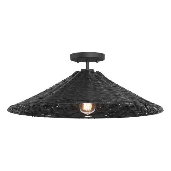 1-Light Ceiling Light