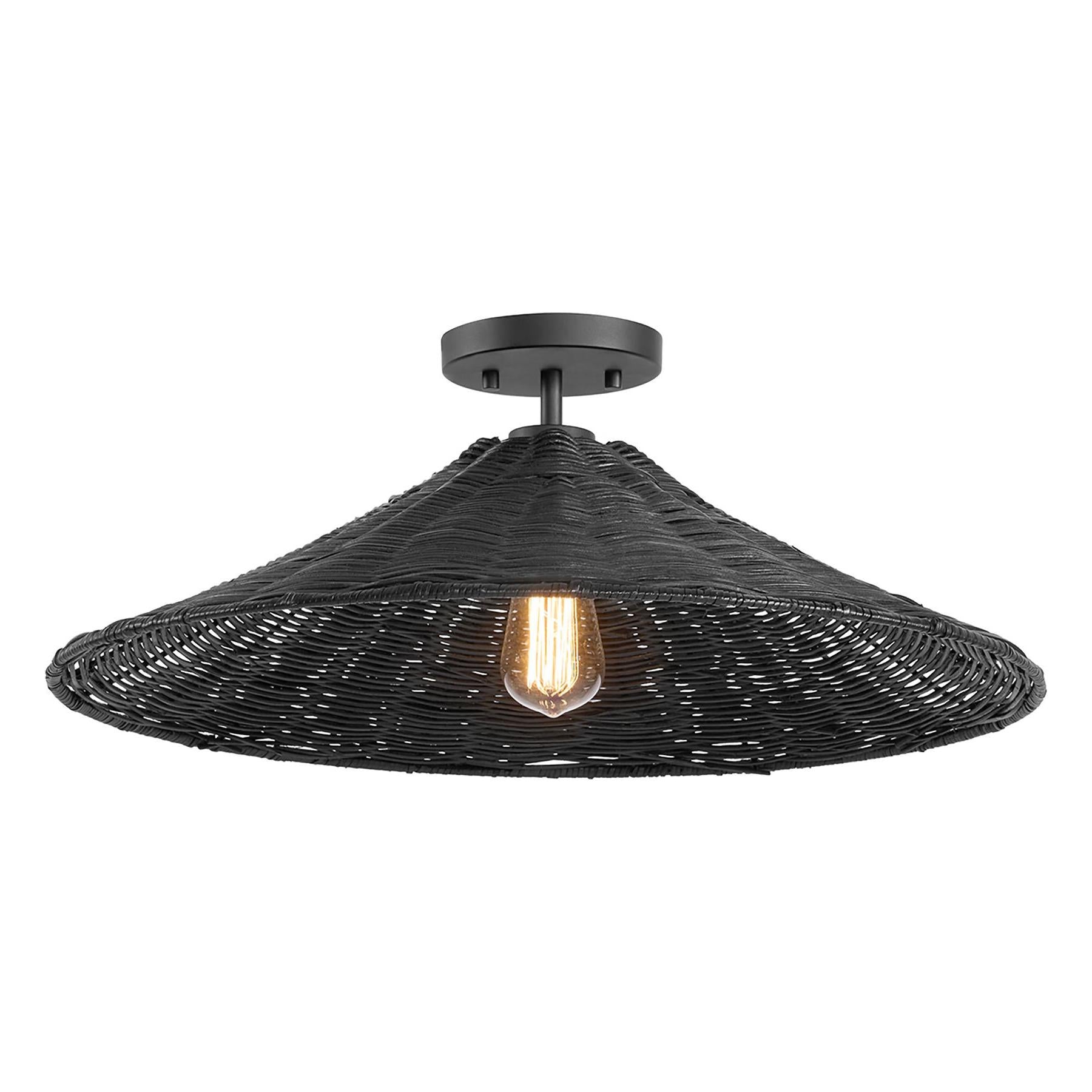 1-Light Ceiling Light