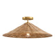 1-Light Ceiling Light