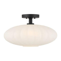 1-Light Ceiling Light