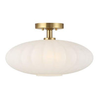 1-Light Ceiling Light