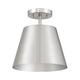 1-Light Ceiling Light