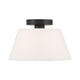 1-Light Ceiling Light