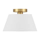 1-Light Ceiling Light