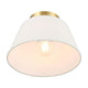 1-Light Ceiling Light