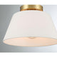 1-Light Ceiling Light