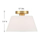1-Light Ceiling Light