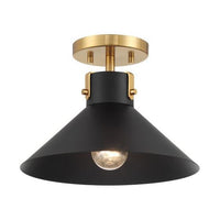 1-Light Ceiling Light