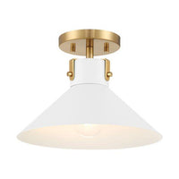1-Light Ceiling Light