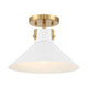 1-Light Ceiling Light