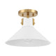 1-Light Ceiling Light