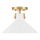 1-Light Ceiling Light