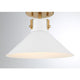 1-Light Ceiling Light