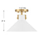 1-Light Ceiling Light