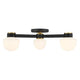 3-Light Ceiling Light