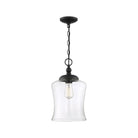 Meridian - 1-Light Mini Pendant - Lights Canada