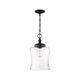 Meridian - 1-Light Mini Pendant - Lights Canada