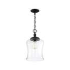 Meridian - 1-Light Mini Pendant - Lights Canada