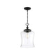 Meridian - 1-Light Mini Pendant - Lights Canada