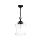 Meridian - 1-Light Mini Pendant - Lights Canada