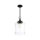 Meridian - 1-Light Mini Pendant - Lights Canada