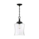 Meridian - 1-Light Mini Pendant - Lights Canada