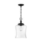 Meridian - 1-Light Mini Pendant - Lights Canada