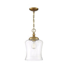 Meridian - 1-Light Mini Pendant - Lights Canada
