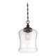 Meridian - 1-Light Mini Pendant - Lights Canada