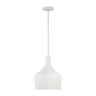 Meridian - 1-Light Pendant - Lights Canada