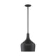 Meridian - 1-Light Pendant - Lights Canada
