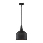 Meridian - 1-Light Pendant - Lights Canada