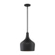 Meridian - 1-Light Pendant - Lights Canada