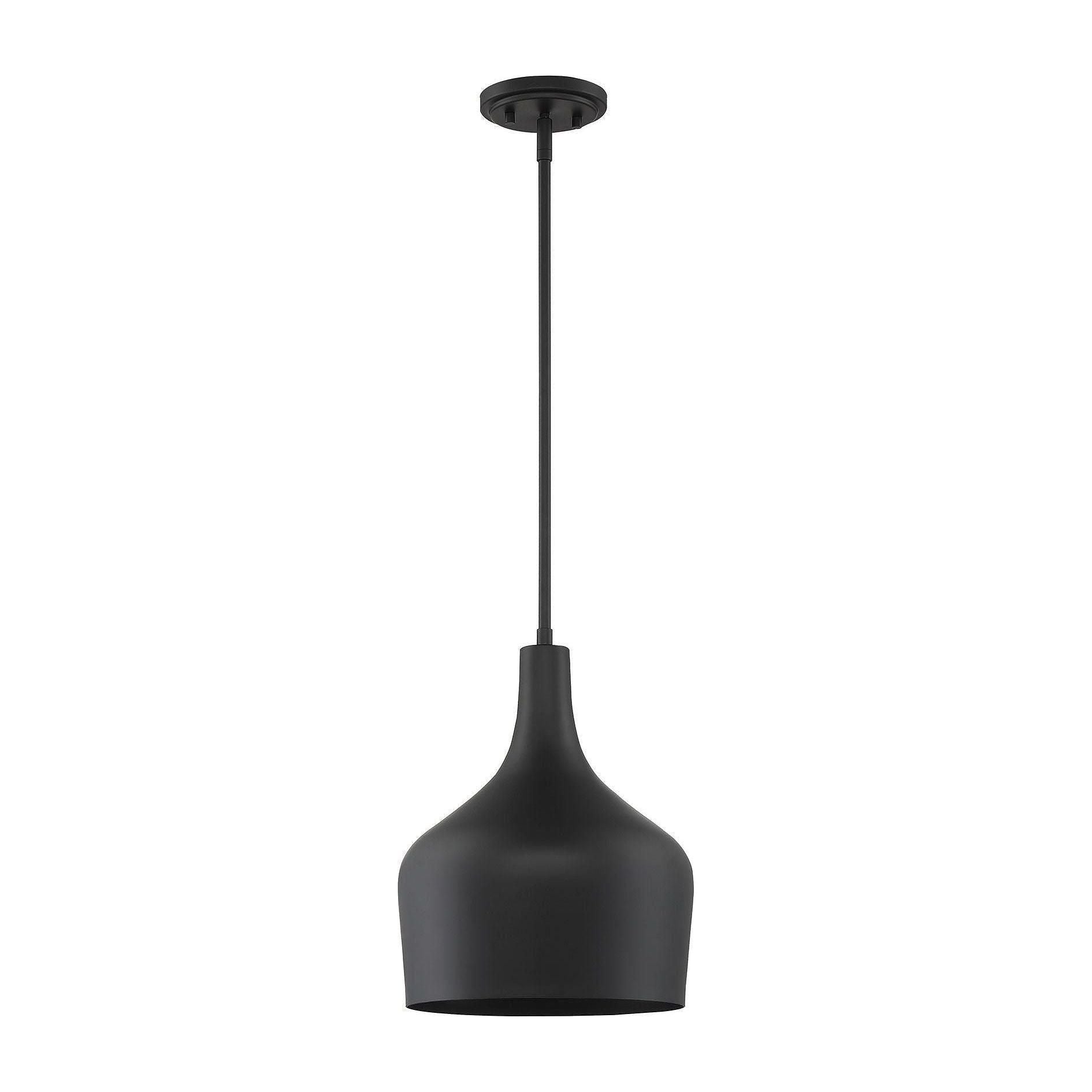 Meridian - 1-Light Pendant - Lights Canada