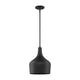 Meridian - 1-Light Pendant - Lights Canada