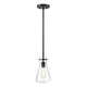 Meridian - 1-Light Pendant - Lights Canada