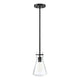 Meridian - 1-Light Pendant - Lights Canada