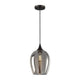 Meridian - 1-Light Mini Pendant - Lights Canada