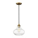 Meridian - 1-Light Mini Pendant - Lights Canada