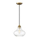 Meridian - 1-Light Mini Pendant - Lights Canada