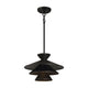Meridian - 1-Light Pendant - Lights Canada