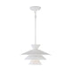 Meridian - 1-Light Pendant - Lights Canada