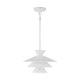 Meridian - 1-Light Pendant - Lights Canada