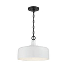 Meridian - 1-Light Pendant - Lights Canada