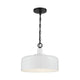 Meridian - 1-Light Pendant - Lights Canada