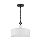 Meridian - 1-Light Pendant - Lights Canada