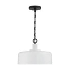 Meridian - 1-Light Pendant - Lights Canada